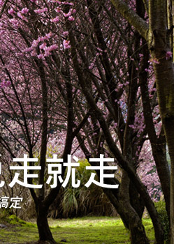 旅行說走就走,高鐵假期