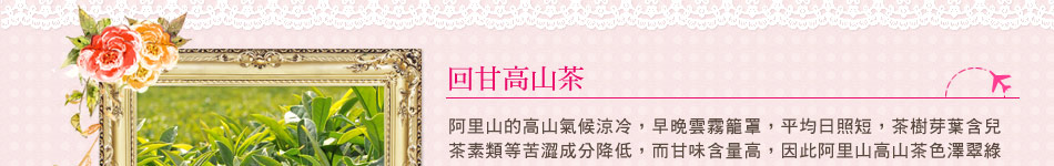 高山茶介紹 高山茶介紹