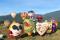 【台東熱氣球嘉年華】縱谷池上藝術、達谷梵秘境、瑞和貓咪車站鐵道漫遊二日