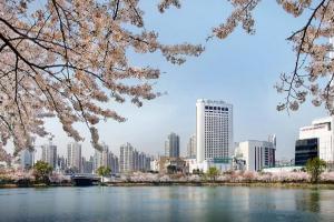 首尔乐天世界饭店 Lotte Hotel World Seoul -国