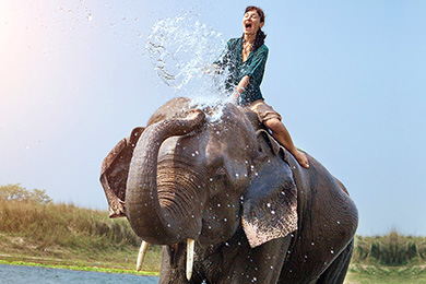 皇家奇旺國家公園