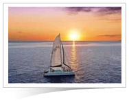 DFS Galleria DFS Galleria