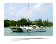 DFS Galleria DFS Galleria