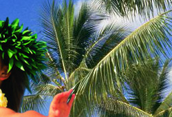 夏威夷HAWAII 渡假蜜月首選