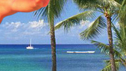 夏威夷HAWAII 渡假蜜月首選