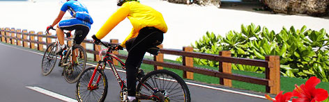 沖繩深度單車之旅～全台獨家‧更多優質行程盡在東南旅行社