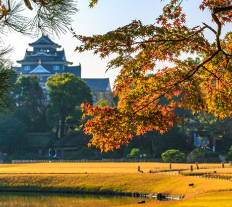 日本三大名園~岡山後樂園