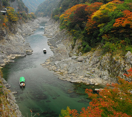V形峽谷泛舟體驗~大步危峽谷遊船