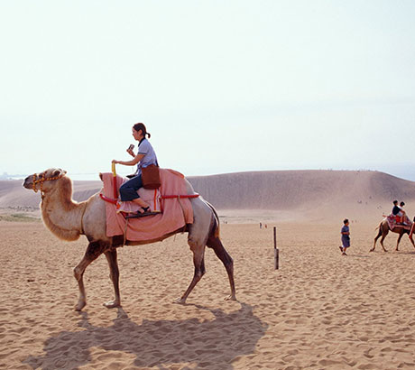超人氣的觀光景點~鳥取砂丘