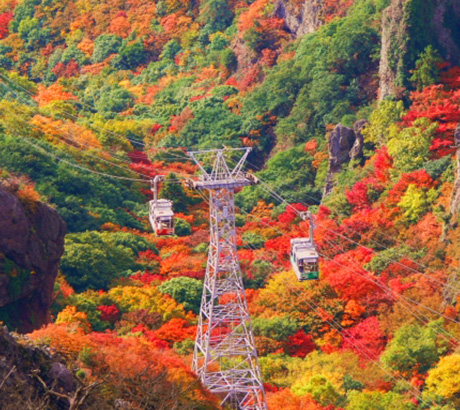 四國紅葉美景打卡點~寒溪霞