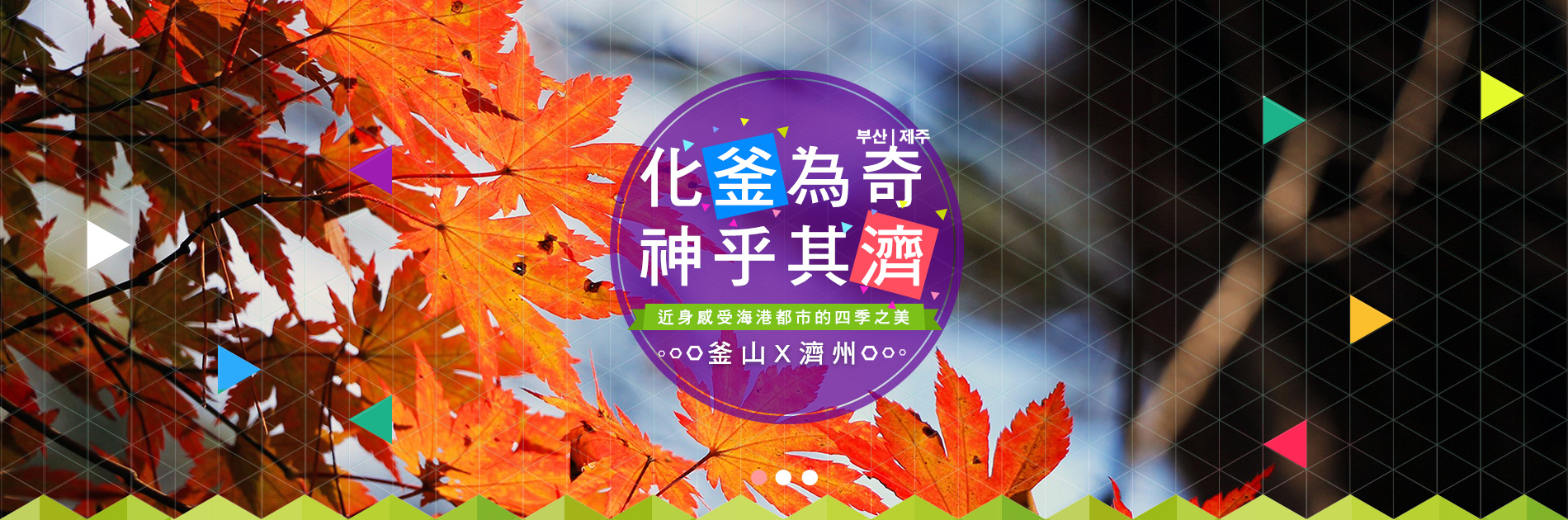 濟州Camellia HIll山茶花園