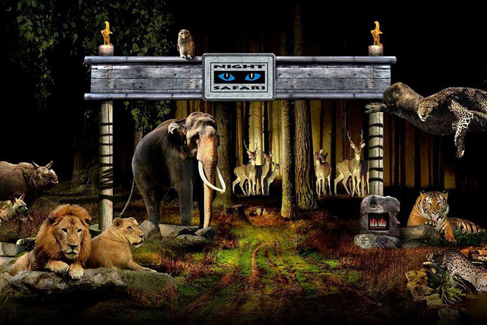 Getting to Night Safari夜間野生動物園