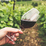 教皇新堡產區酒莊