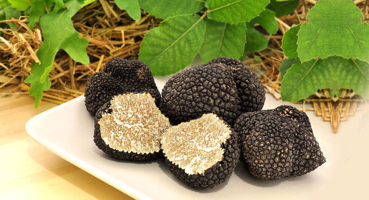 Zinfandel's Restaurant