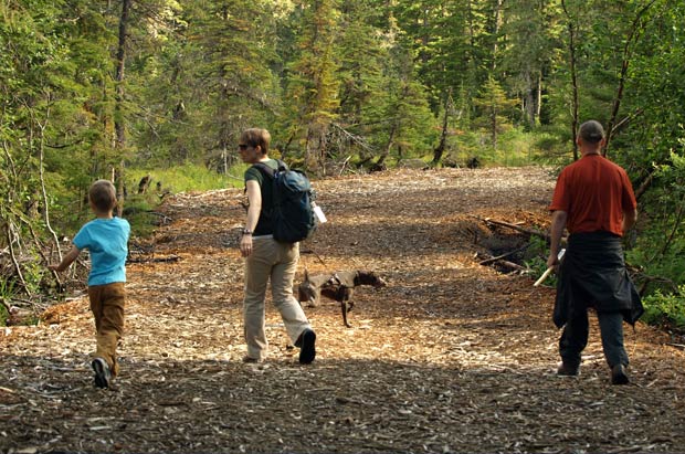 波特治冰河Portage Glacier