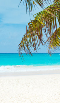 旅行說走就走,高鐵假期