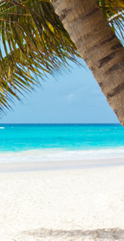 旅行說走就走,高鐵假期