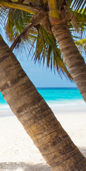 旅行說走就走,高鐵假期