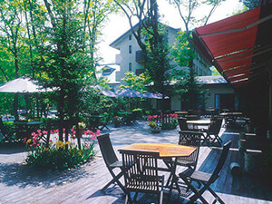 白馬樅之木酒店(白馬)