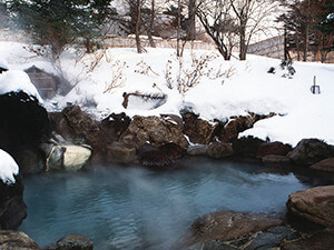 奧日光小西酒店(日光)