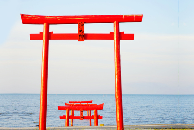 【佐賀初夏嬉光記。群螢亂舞】嬉野川賞螢