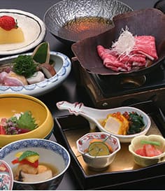 下呂溫泉 水明館