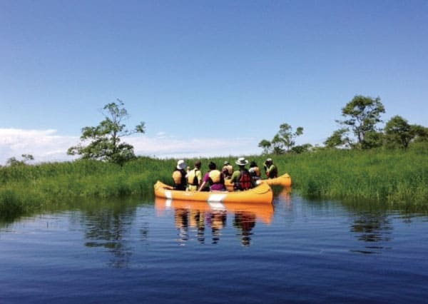 釧路濕原