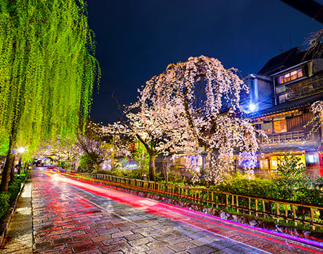 京都--靜心自在呼吸