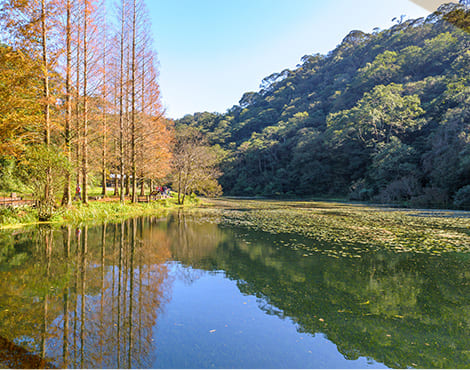 宜蘭福山--亞洲最大植物園