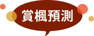 賞楓預測