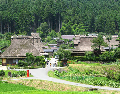 京都--靜心自在呼吸