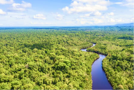 Borneo