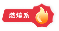 燃燒系