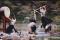 【明池X十鼓】池中劍III-神魔之界 宜蘭馬告園區藝術饗宴二日