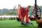 【高鐵苗栗假期】海棠島遊船‧南庄老街‧火車頭園區一日豐富行(7月-12月)
