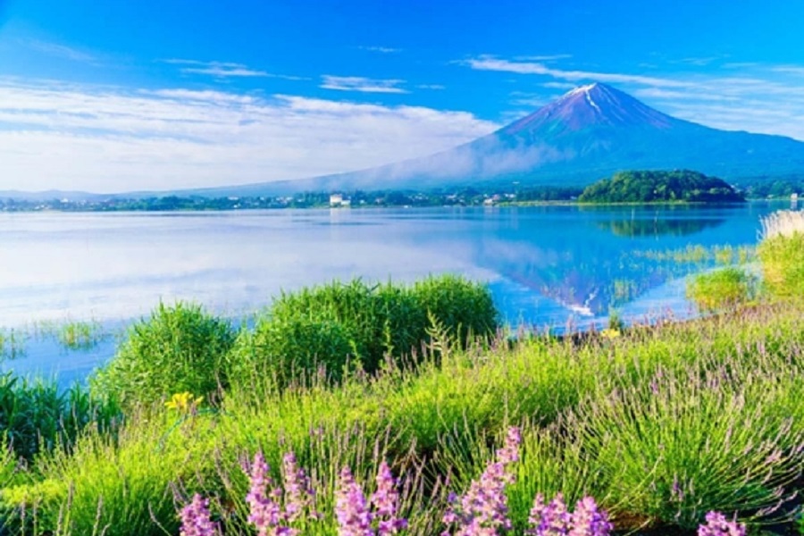 【日本】富士山一日遊 | （新宿出發） 富士山大石公園、忍野八海 、川越小江戶 ✦人氣商品