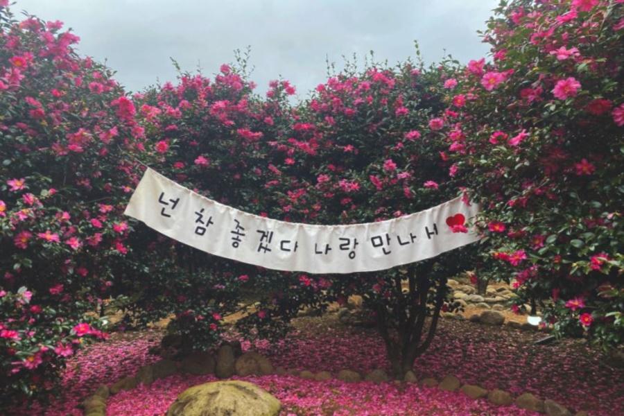行程特色圖片