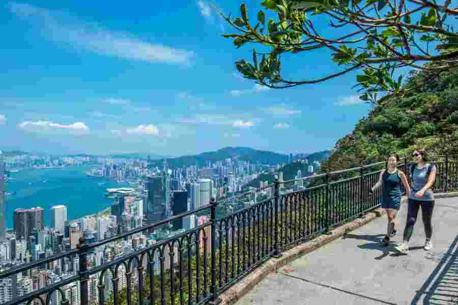 
                                                                                                        山頂環迴步行徑
                                                                                                        