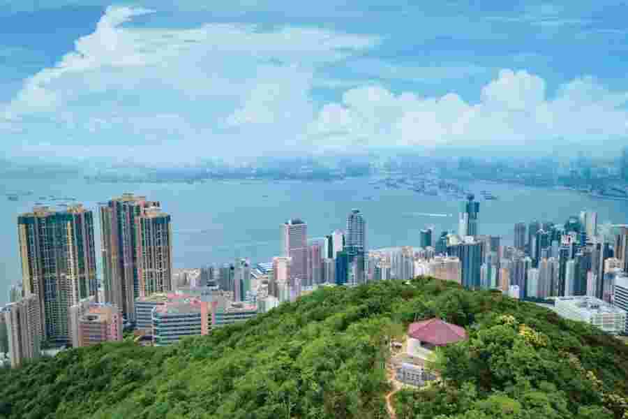 
                                                                                                        龍虎山郊野公園
                                                                                                        